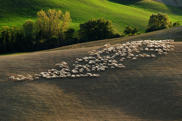 Val d'Orcia 2009