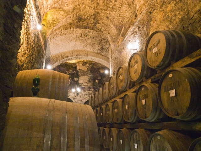montepulciano2009 (16)
