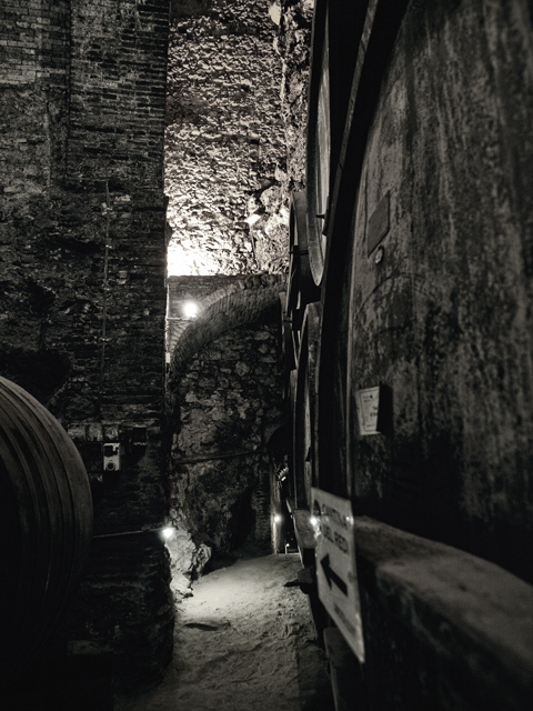 montepulciano_cantina3