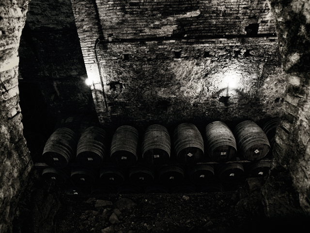 montepulciano_cantina5