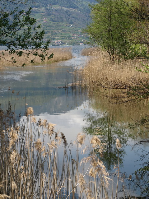 01-Brenta-dove-nasce-dal-Lago-di Caldonazzo-OAWEB