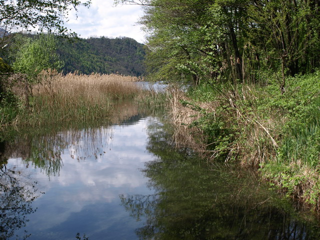 02-Brenta-dove-nasce-dal-Lago-di-Levico-OAWEB