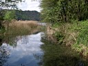 Il Brenta nasce dal Lago di Levico