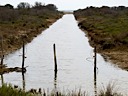 Canale Parallelo sull'Ombrone