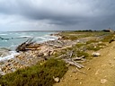 Mare a Bocca d'Ombrone